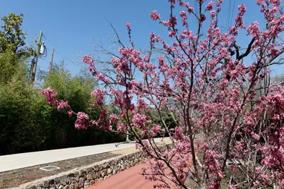 4044 Buena Vista #104, Dallas, TX 75204 - Photo 6