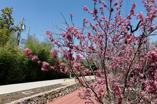 4044 Buena Vista, Dallas, TX 75204 - Photo 6