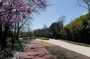 4044 Buena Vista, Dallas, TX 75204 - Photo 8