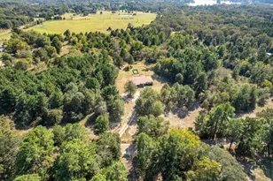 12580 Co Rd 3612, Murchison, TX 75778 - Photo 26