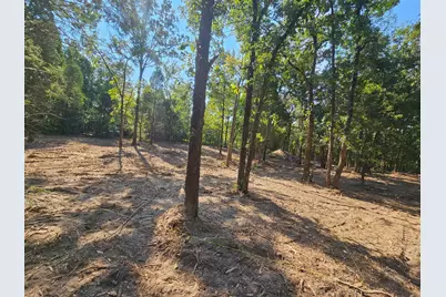 0 S Pennsylvania Street, Malakoff, TX 75148 - Photo 4