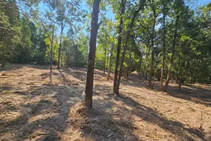 0 S Pennsylvania St, Malakoff, TX 75148 - Photo 4