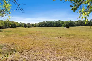 Tbd Wilson Rd, Whitewright, TX 75491 - Photo 12