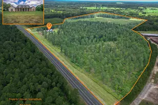 3333 State Hwy 204, Jacksonville, TX 75766 - Photo 2