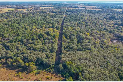 0 Cr-3409, Chandler, TX 75758 - Photo 36