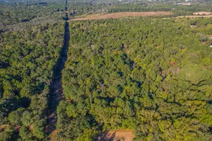 0 Cr-3409, Chandler, TX 75758 - Photo 34