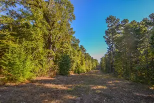 0 Cr-3409, Chandler, TX 75758 - Photo 32