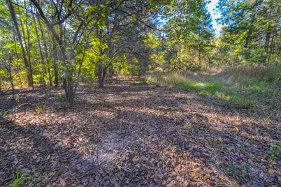 0 Cr-3409, Chandler, TX 75758 - Photo 8