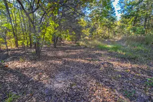 0 Cr-3409, Chandler, TX 75758 - Photo 8