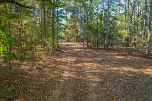 0 Cr-3409, Chandler, TX 75758 - Photo 26