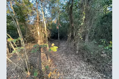 Tbd Private Road 52423, Leesburg, TX 75451 - Photo 10