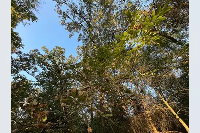 Tbd Private Road 52423, Leesburg, TX 75451 - Photo 8