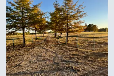 300 County Road 27100, Honey Grove, TX 75446 - Photo 1