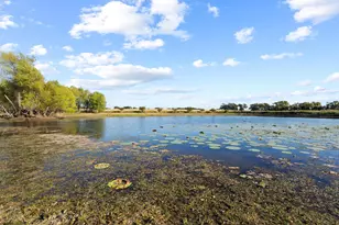 300 County Rd 27100, Honey Grove, TX 75446 - Photo 18