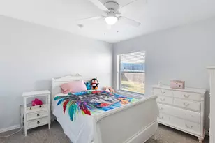 236 Birdbrook Dr, Anna, TX 75409 - Photo 22