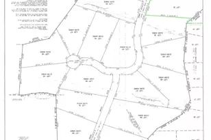 1001 Leo Ln, Poolville, TX 76487 - Photo 1