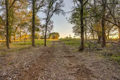 51 Cattle Trail, Palo Pinto, TX 76484 - Photo 10