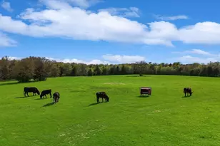 812 McKenzie Rd, Tioga, TX 76271 - Photo 32