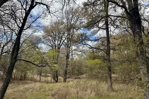 5314 Co Rd 3204, Campbell, TX 75422 - Photo 6