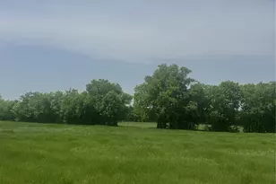 418 Private Rd 4512, Decatur, TX 76234 - Photo 6