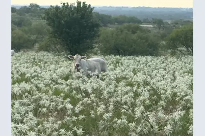 381 Private Road 4512, Decatur, TX 76234 - Photo 2