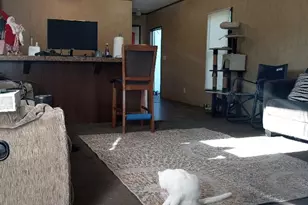 194 Diana Dr, Rockwall, TX 75032 - Photo 8