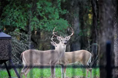 12801 County Road 1117, Cleburne, TX 76033 - Photo 40