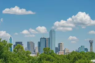 918 Duluth St, Dallas, TX 75212 - Photo 32