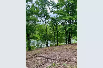 Lot 14 County Road 4801, Athens, TX 75752 - Photo 6