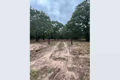 Lot 14 County Road 4801, Athens, TX 75752 - Photo 2