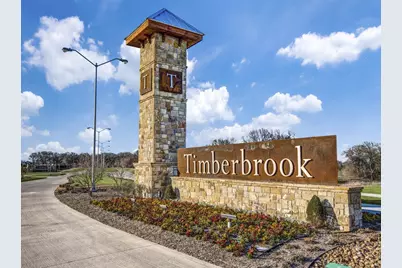 217 Raveena Boulevard, Justin, TX 76247 - Photo 2