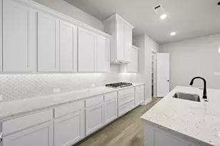 217 Raveena Blvd, Justin, TX 76247 - Photo 8