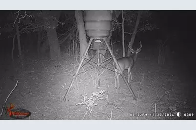 3061 Canyon Ranch Road, Palo Pinto, TX 76484 - Photo 18