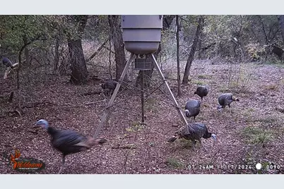 3061 Canyon Ranch Road, Palo Pinto, TX 76484 - Photo 22