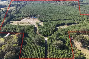 Tbd Fm 726, Jefferson, TX 75657 - Photo 1