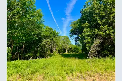 Lot 51 Wicklow Ct, Poolville, TX 76487 - Photo 1