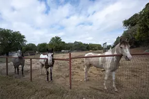 9121 S Fm 730, Azle, TX 76020 - Photo 24