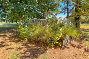 1710 FM 667, Purdon, TX 76679 - Photo 36