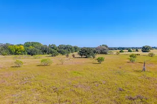 1710 FM 667, Purdon, TX 76679 - Photo 34