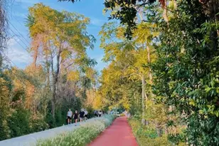 5200 Martel Ave, Dallas, TX 75206 - Photo 28