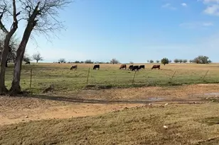 60 Zion Wy, Valley View, TX 76272 - Photo 14