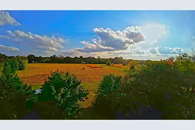 269 County Road 1008, Wolfe City, TX 75496 - Photo 4