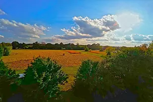 269 Co Rd 1008, Wolfe City, TX 75496 - Photo 4