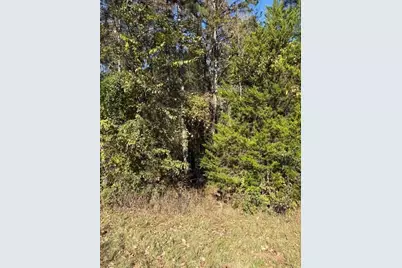 17851 Fm 3079, Chandler, TX 75758 - Photo 2