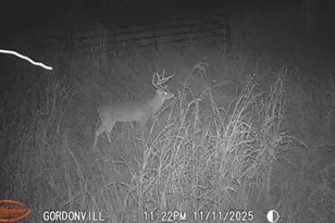 1648 Gordonville Rd, Gordonville, TX 76245 - Photo 1