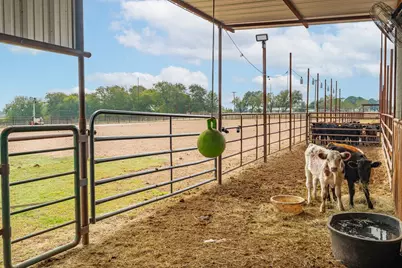 12194 Gholson Road, Waco, TX 76705 - Photo 8