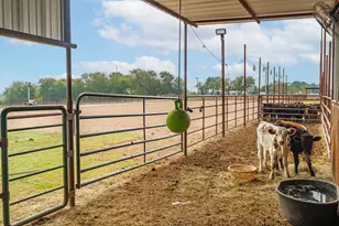 12194 Gholson Rd, Waco, TX 76705 - Photo 8