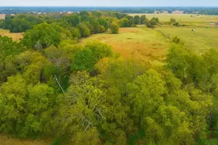 Tbd Vzcr 1118, Grand Saline, TX 75140 - Photo 1
