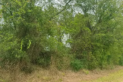 Tbd Vzcr 1118, Grand Saline, TX 75140 - Photo 6