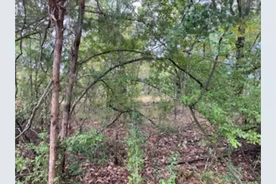 Tbd Lot 17 Westwood Drive, Trinidad, TX 75163 - Photo 2